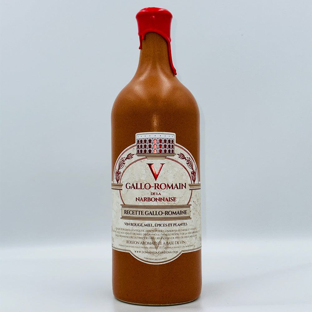 V Gallo-Roman from Narbonnaise RED - Honeyed and Spiced Wine from the 1st Century